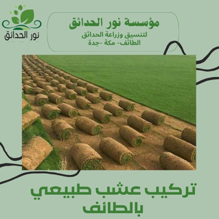 تركيب عشب طبيعي بالطائف (2)