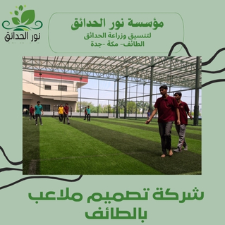 شركة تصميم ملاعب بالطائف