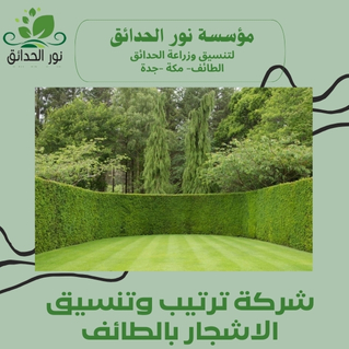شركة ترتيب وتنسيق الاشجار بالطائف (1)